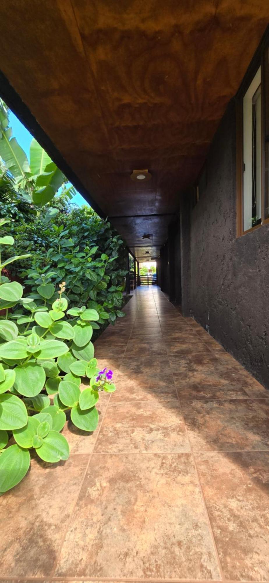 Apartamentos Tupuna Lodge อังกาโรอา ห้อง รูปภาพ