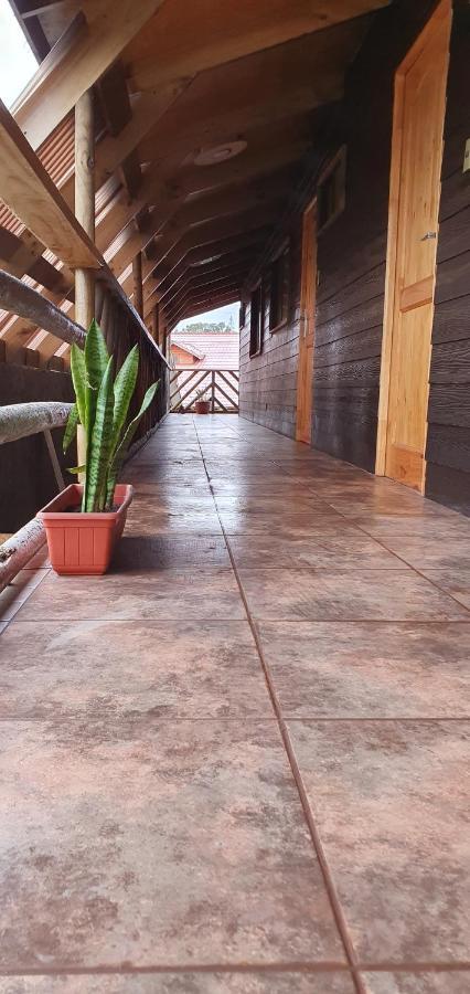 Apartamentos Tupuna Lodge อังกาโรอา ภายนอก รูปภาพ